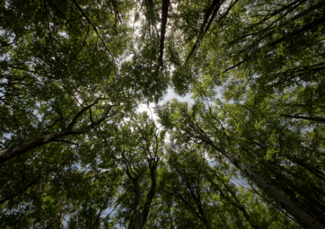 ESG: Benvic puts the Innovation into Environmental 